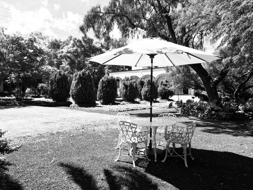 Zahrada ubytování Club Vergel Resort