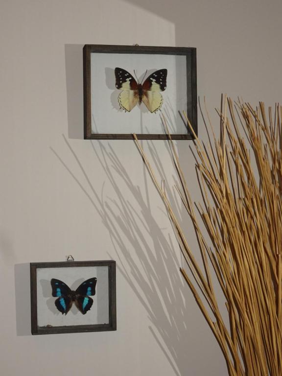 Fotografie z fotogalerie ubytování Sarni Stok v destinaci Bielsko-Biala