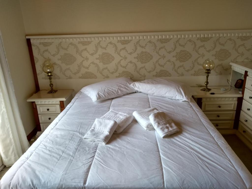 Lar das caturritas  Lar das caturritas