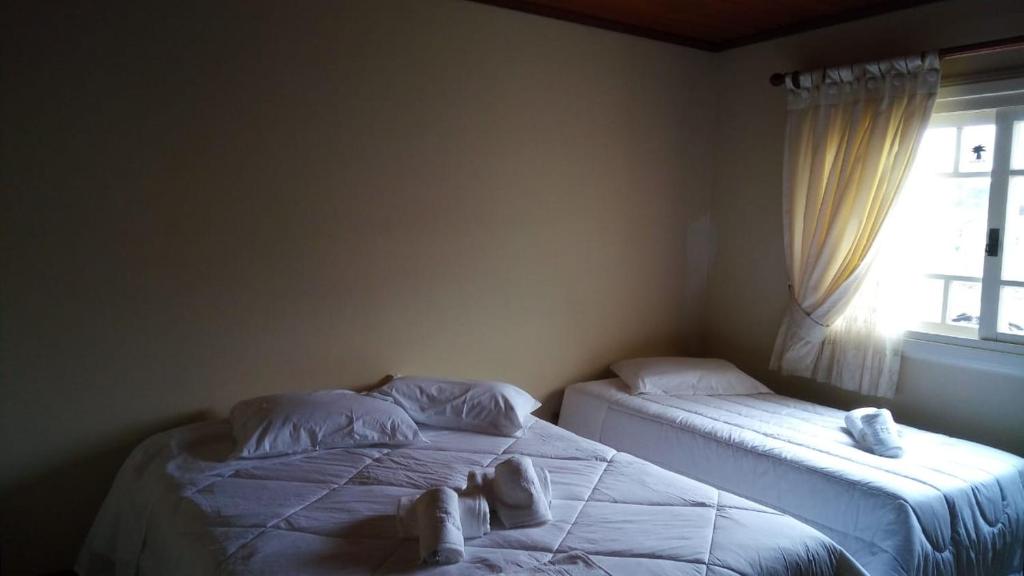 Lar das caturritas  Lar das caturritas