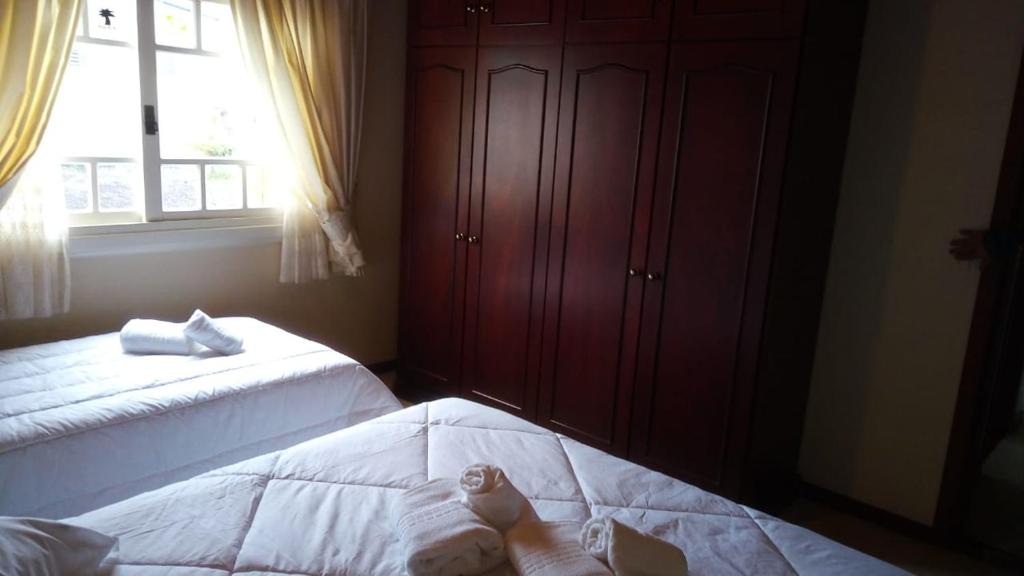 Lar das caturritas  Lar das caturritas