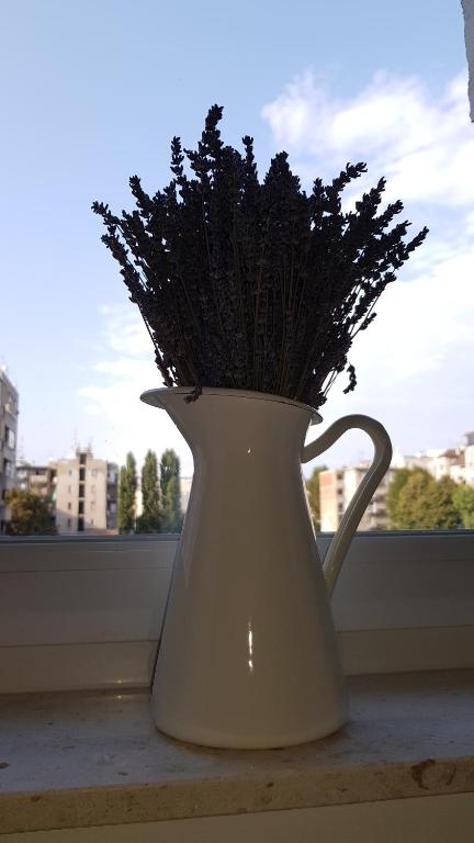 Citylux Apartments - 18