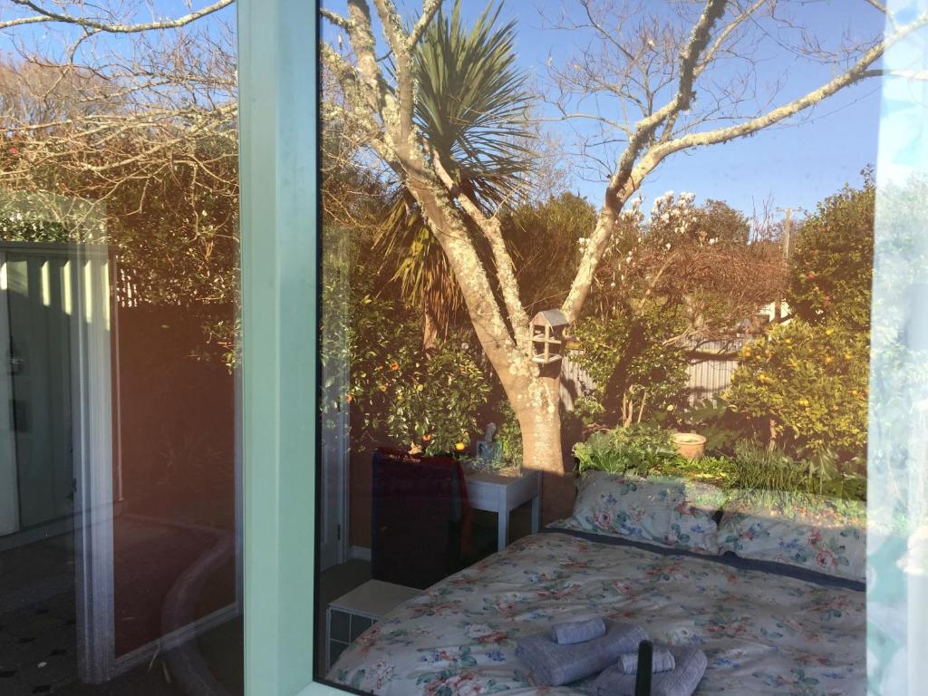 Cosy, Central Greytown Sleepout - Resim 11