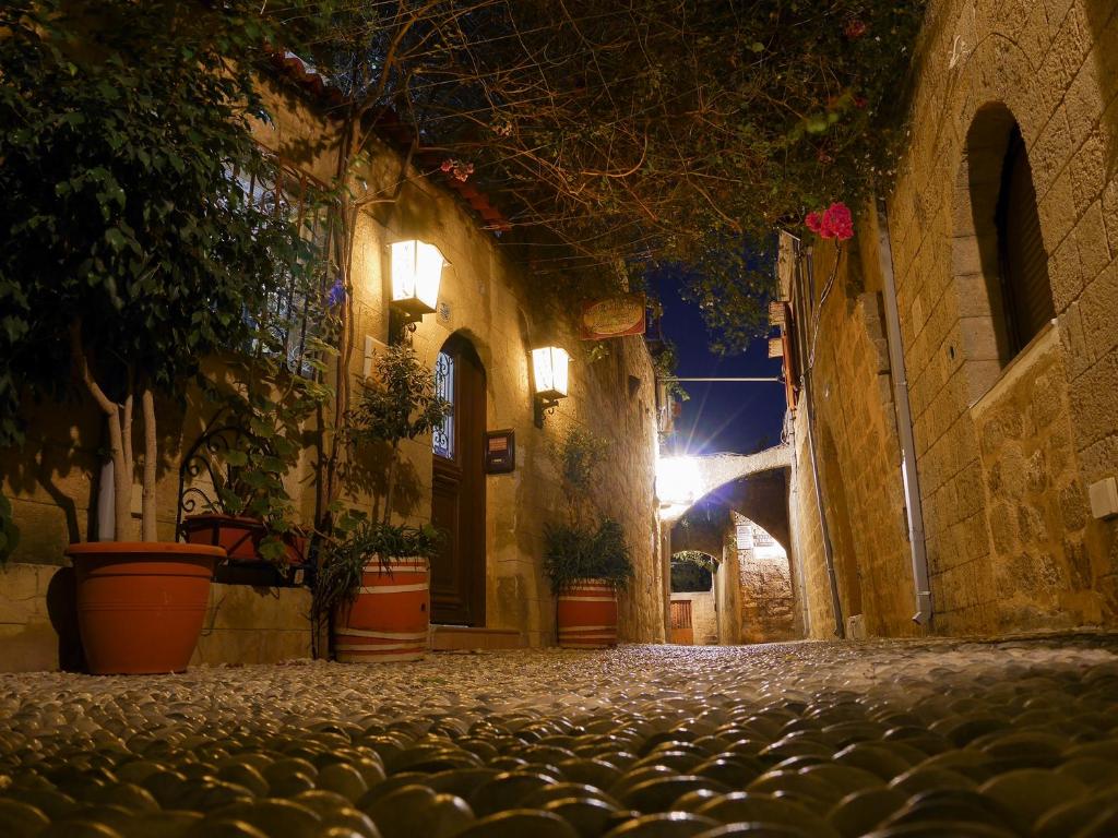 an alley with potted plants on a street at night at Sofia Pension in Rhodes Town