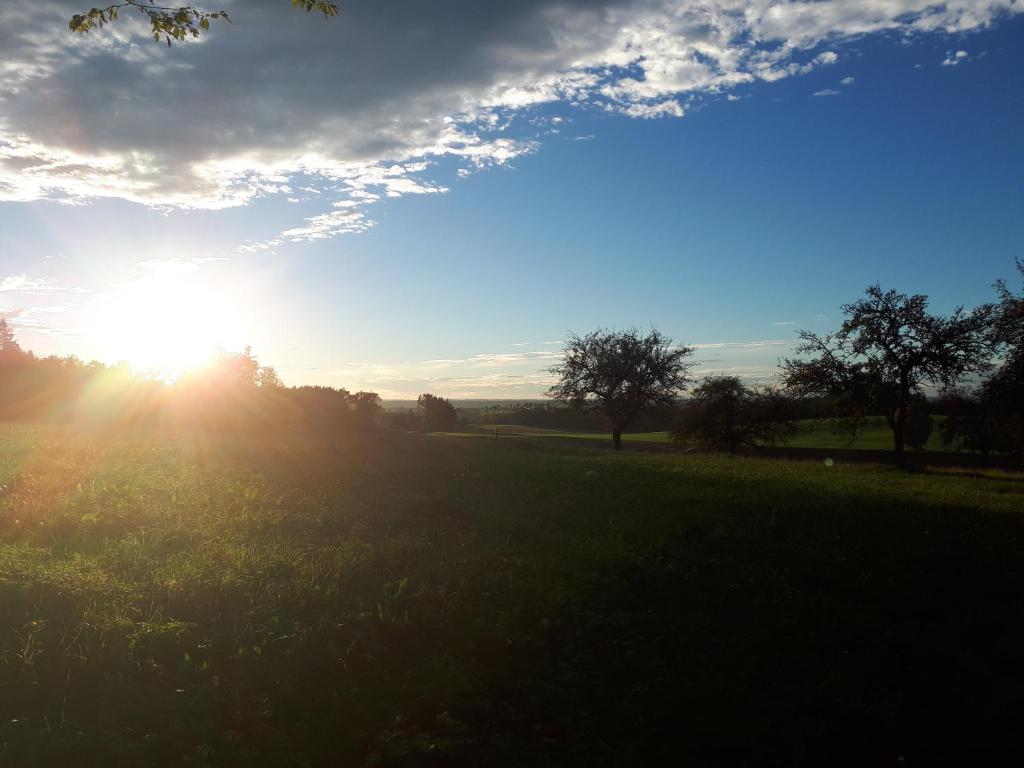 un sol se está poniendo en un campo con árboles en Bio Kinder Erlebnis Bauernhof Voit en Söchtenau
