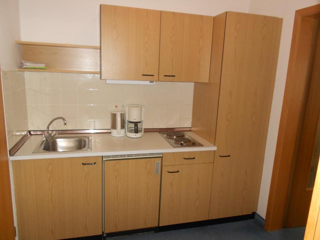 Kuchyň nebo kuchyňský kout v ubytování Hotel Fortuna