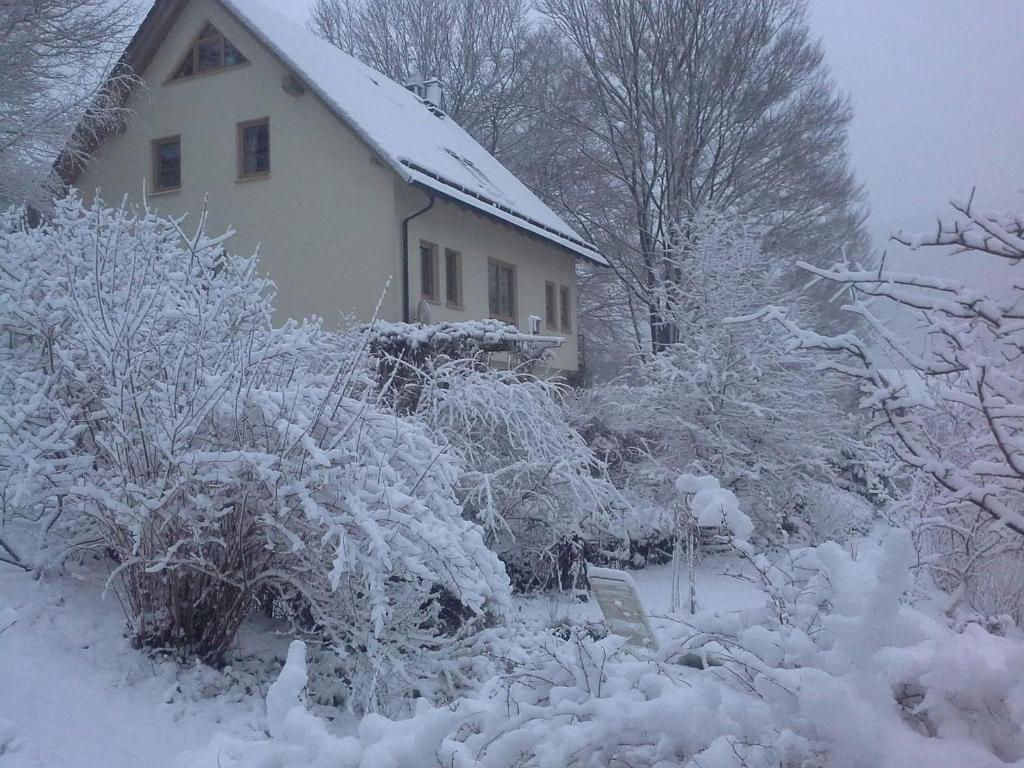 Ferienwohnung Ringbergblick v zimě