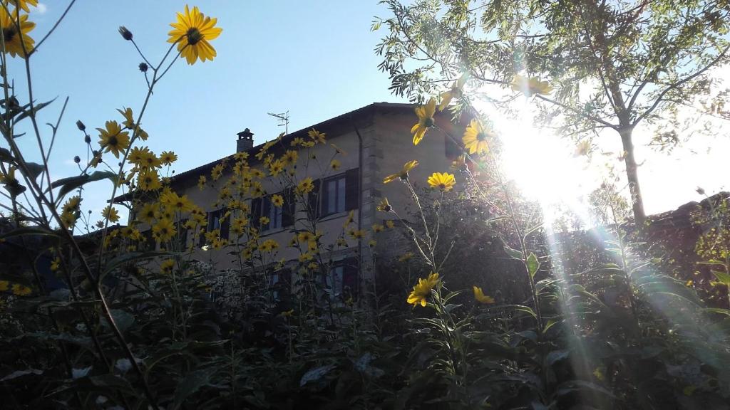 a house with the sun shining behind a field of flowers at Fattoria La Guedrara in Sestola