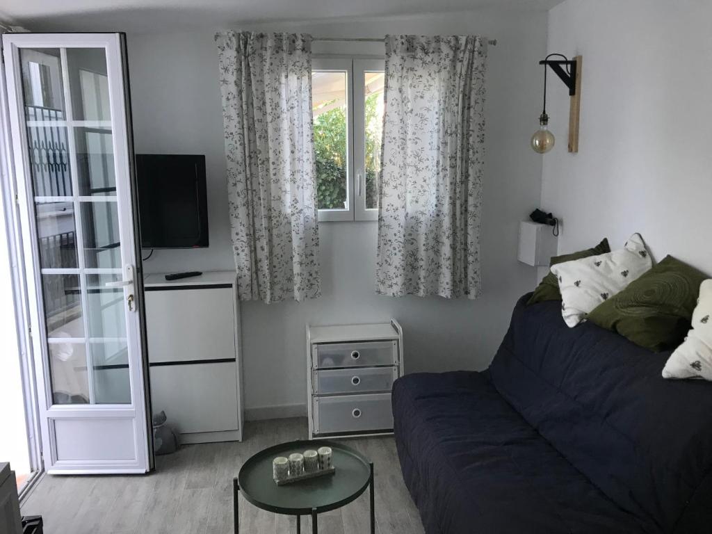 un salon avec un canapé et une télévision dans l'établissement Les fleurs, à Cannes