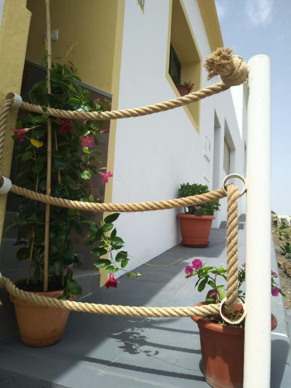 a rope tied up to a building with potted plants at Casa Daniel in Costa Teguise