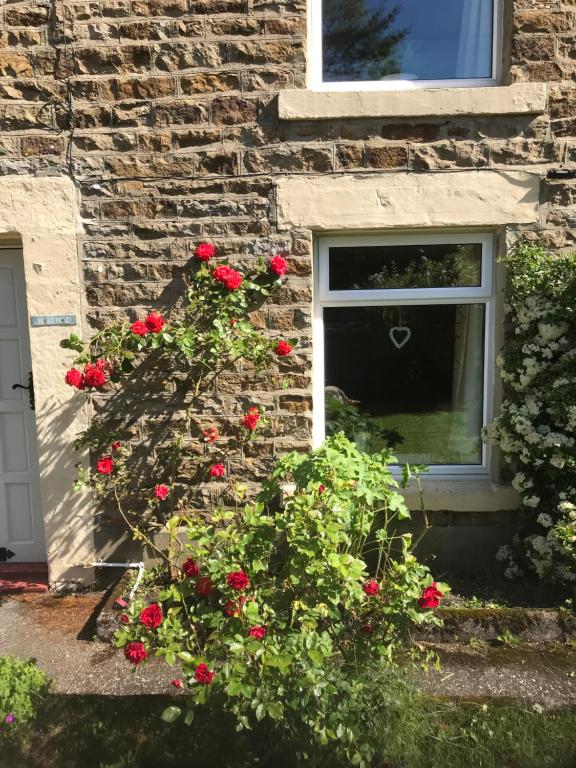 Mayfield Cottage - Holiday Home