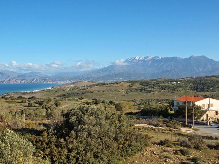 a view of a field with mountains in the background at Irene Komos in Pitsidia