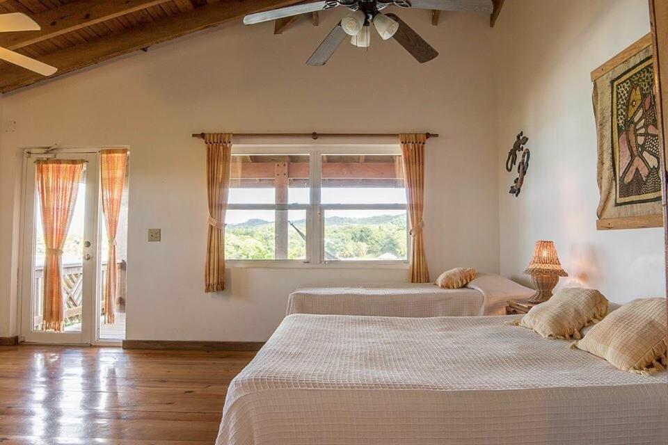 Voodi või voodid majutusasutuse Hotel Posada Las Orquídeas,West End toas