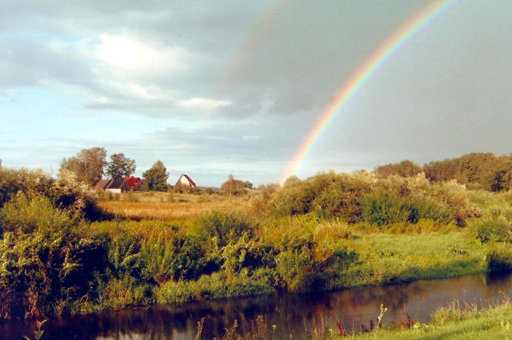 a rainbow over a field next to a river at Kalda Talu in Tõlliste
