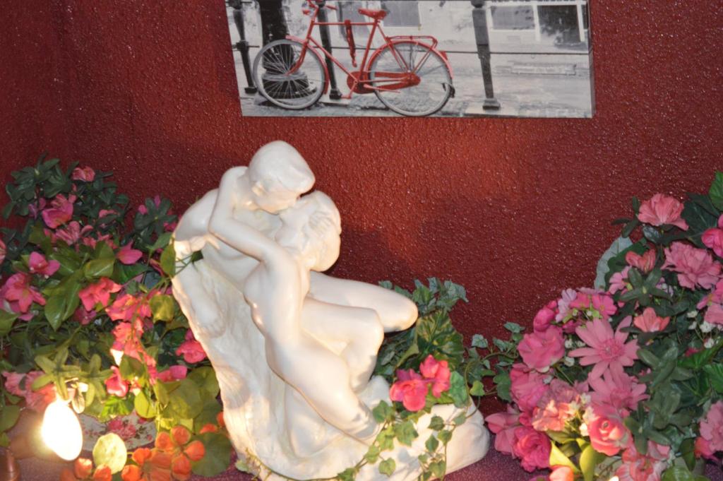 Fotografie z fotogalerie ubytování Hôtel Myosotis v destinaci Lurdy