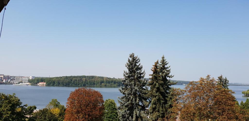 Apartments on Festyvalna street - Appartement D'une Chambre