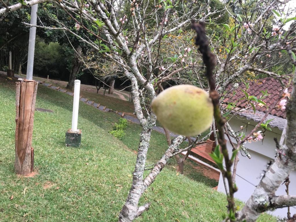  Pousada Cantâo