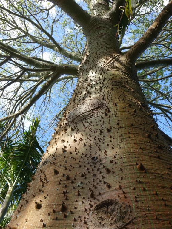 Fotografie z fotogalerie ubytování Wharepuke Subtropical Accommodation v destinaci Kerikeri