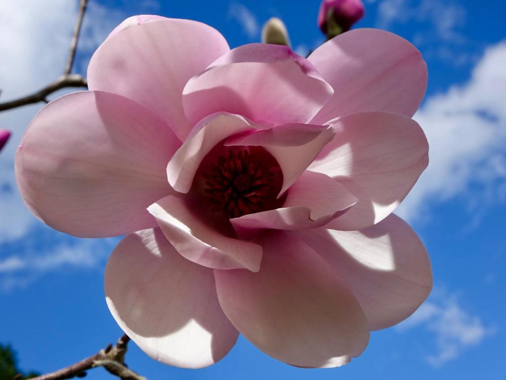 Wharepuke Subtropical Accommodation - Resim 25