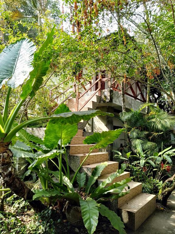 a set of stairs in a garden with plants at Bagus Bay Homestay in Tuktuk Siadong