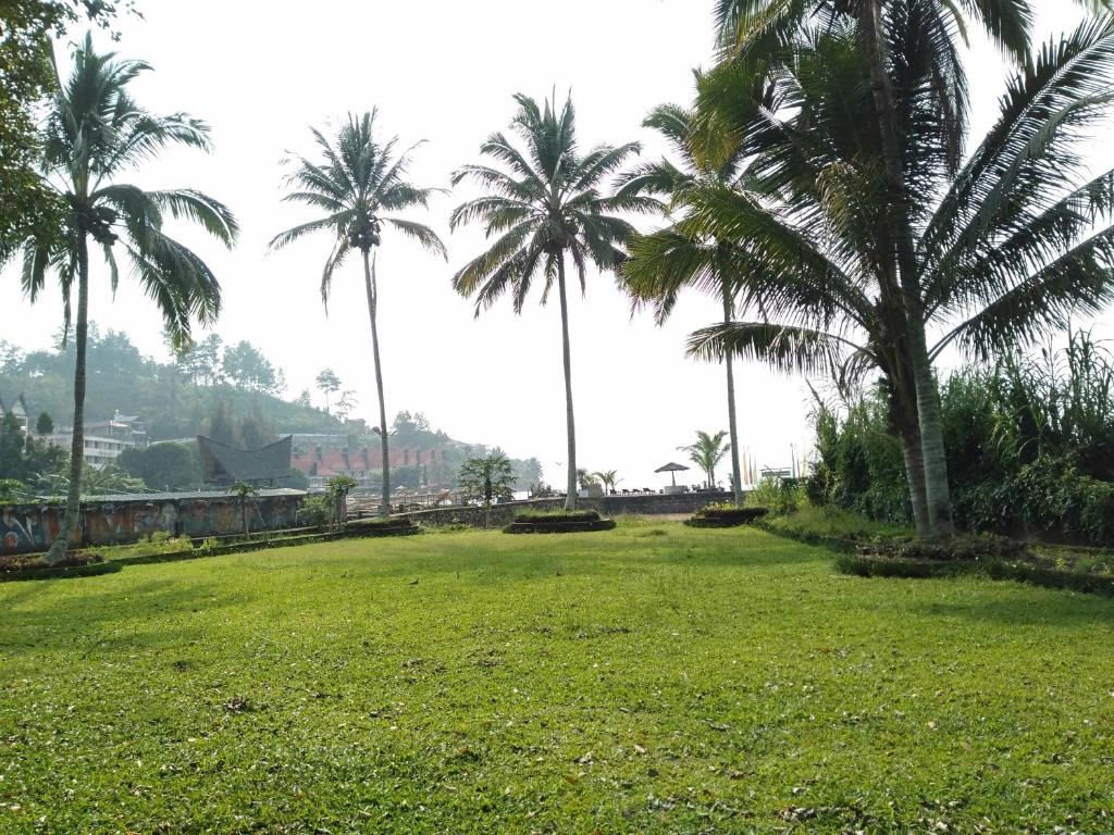 a field of grass with palm trees in the background at Bagus Bay Homestay in Tuktuk Siadong