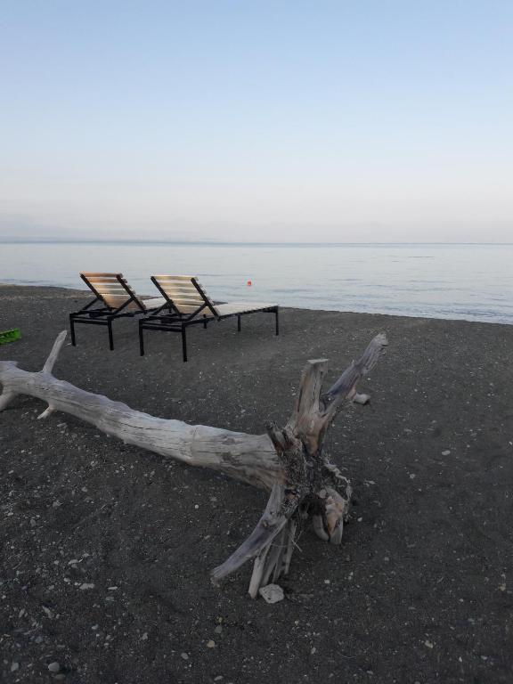 Fotografie z fotogalerie ubytování Hotel Today , Խաղաղության լողափ v destinaci Shorzha