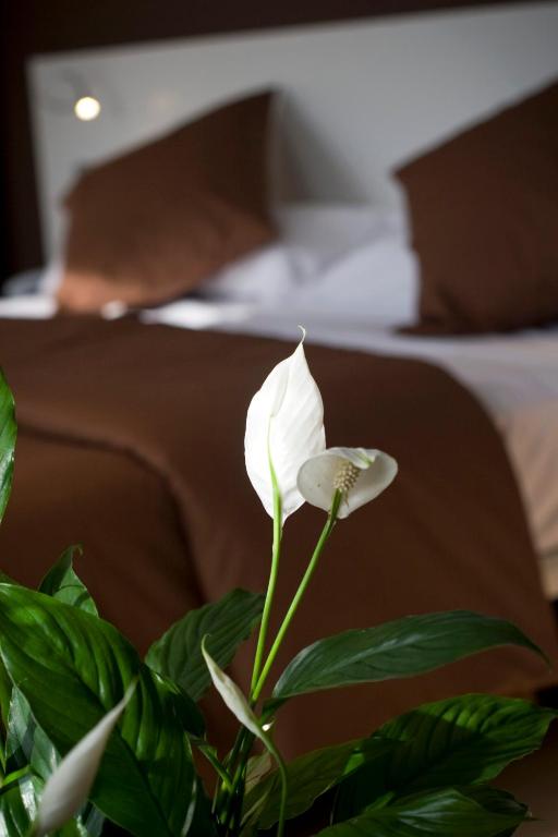 Postel nebo postele na pokoji v ubytování Hotel La Sèquia Molinar