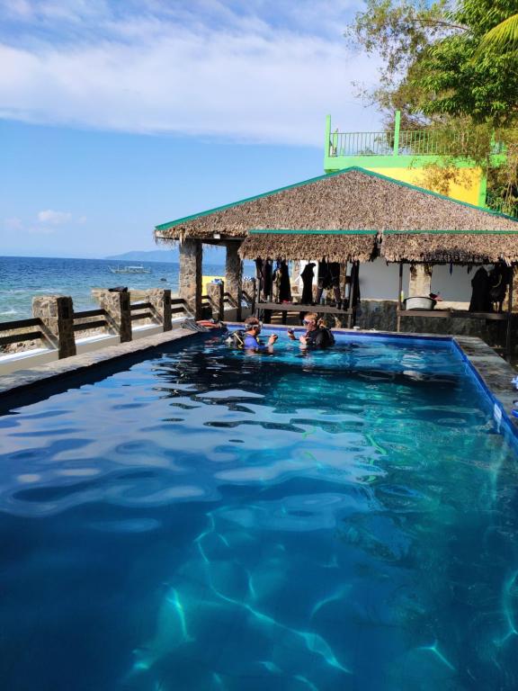 Bazén v ubytování Blue Ribbon Dive Resort nebo v jeho okolí