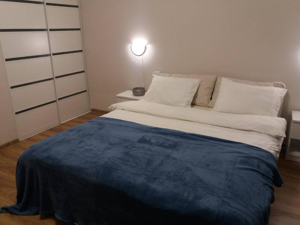 リヴィウにあるSkelnaia Apartmentのベッドルーム1室(大型ベッド1台、青い毛布付)