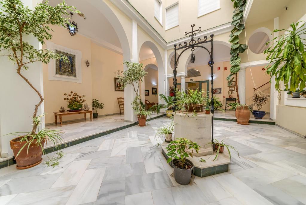 Zahrada ubytování Hotel La Española