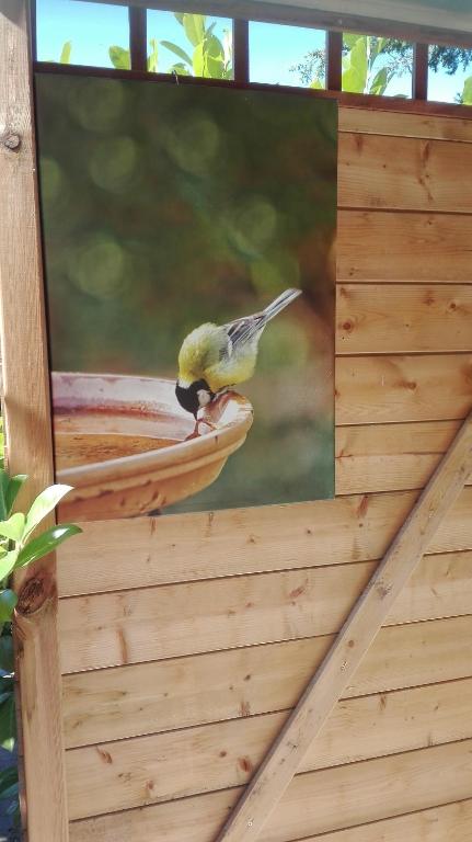 Fotografie z fotogalerie ubytování De Zes Wielen v destinaci Alkmaar