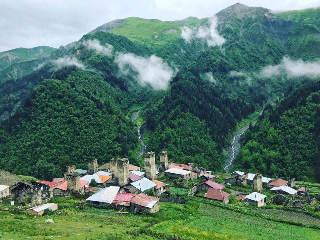 a group of houses in a field in front of a mountain at Old House in Adishi