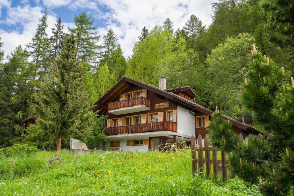 Příroda nedaleko apartmánu