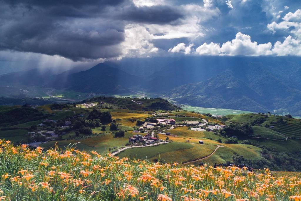 a view of a village on a hill with flowers at Story Inn City in Hualien City