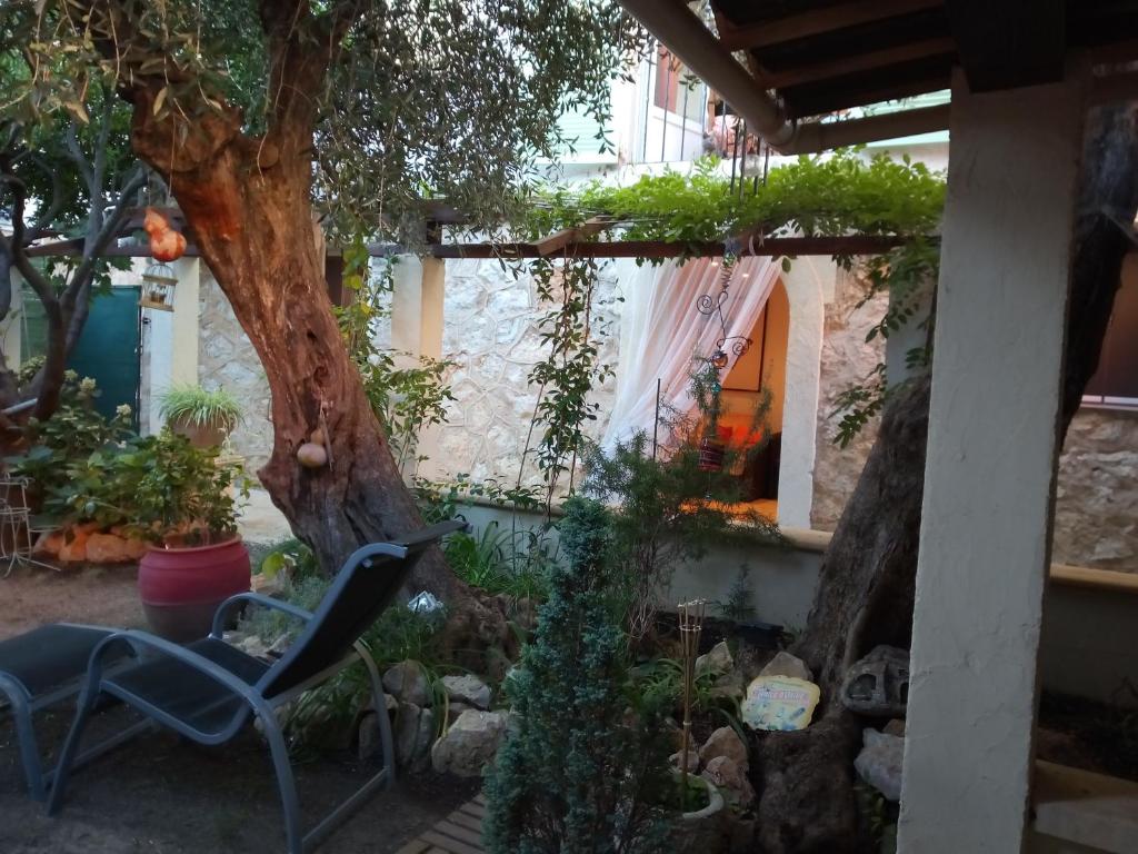 una silla y un árbol en un jardín en Appartement avec jardin privatif proche ASFO, en Grasse