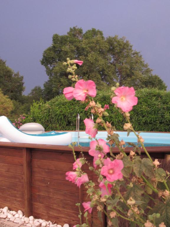 a bush with pink flowers next to a bath tub at The Wild Seeds in Chauvigny