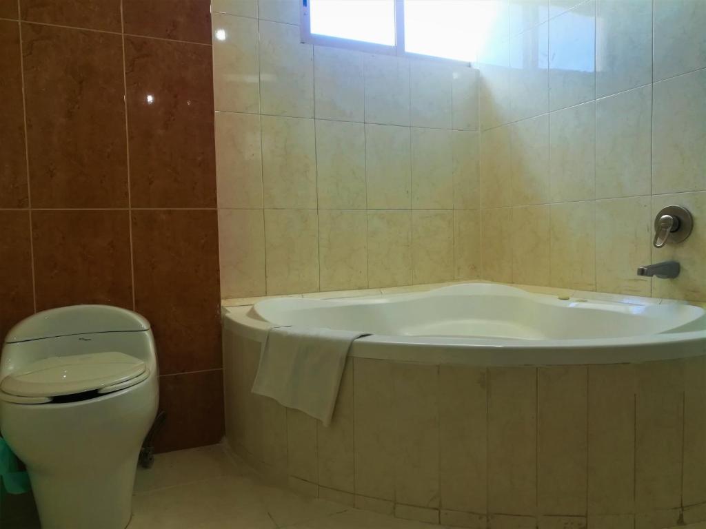 Koupelna v ubytování Hotel El Marques