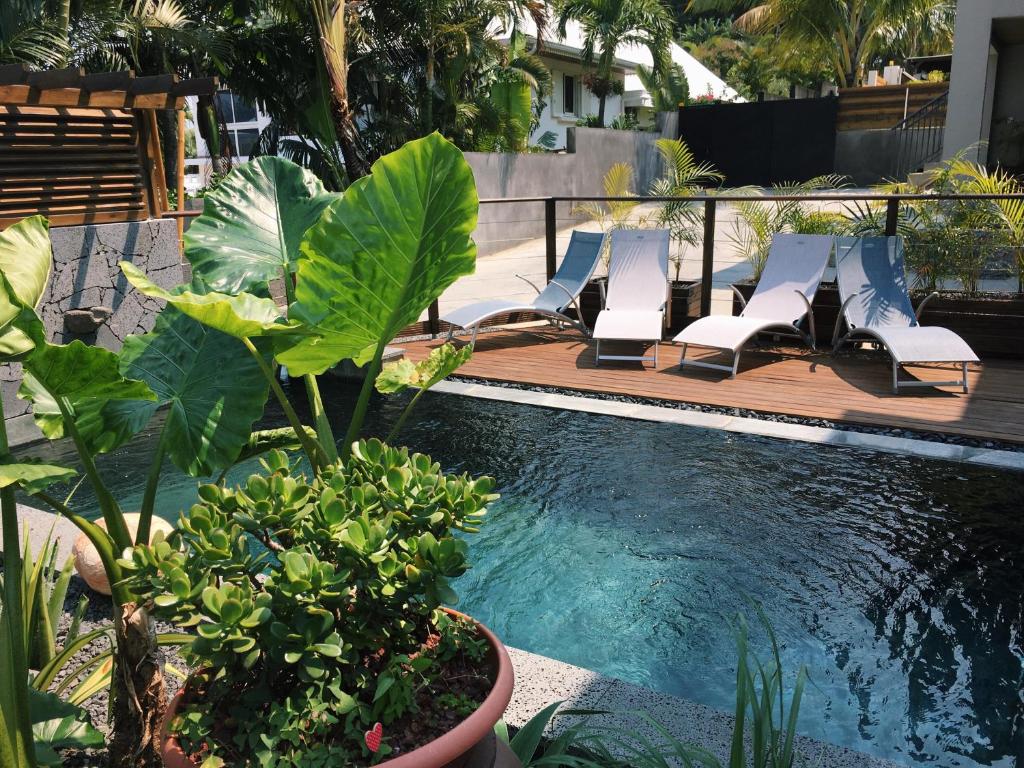 una piscina con tumbonas y una piscina en VILLA L HORIZON 4 appartements avec piscine, en Petite Île