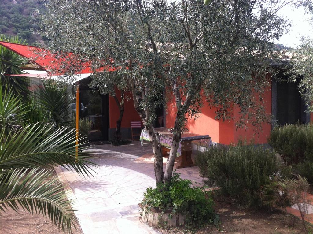 Zahrada ubytování Cuntarati Nature Tourism - Simeto Etna