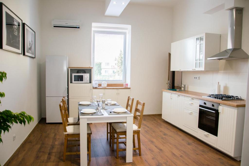 Kuchnia lub aneks kuchenny w obiekcie Sunny Aircon Apartment in the Centre of Slaný