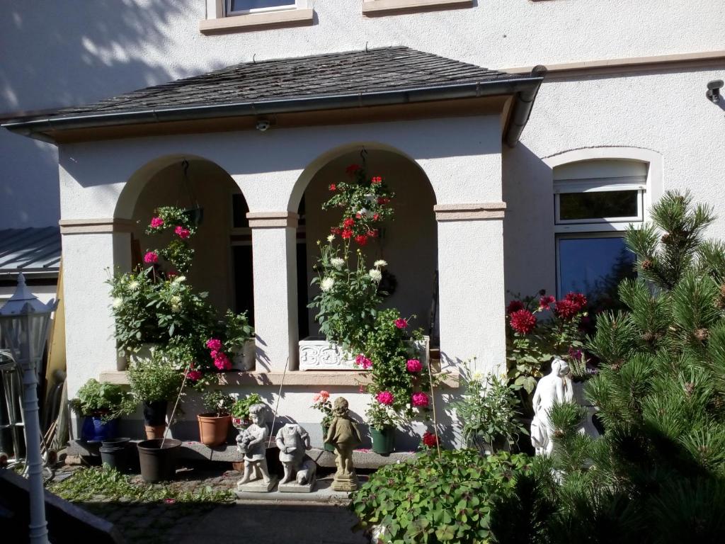 Dach-Studio-Runkel Schadecker Straße 6 - Studio