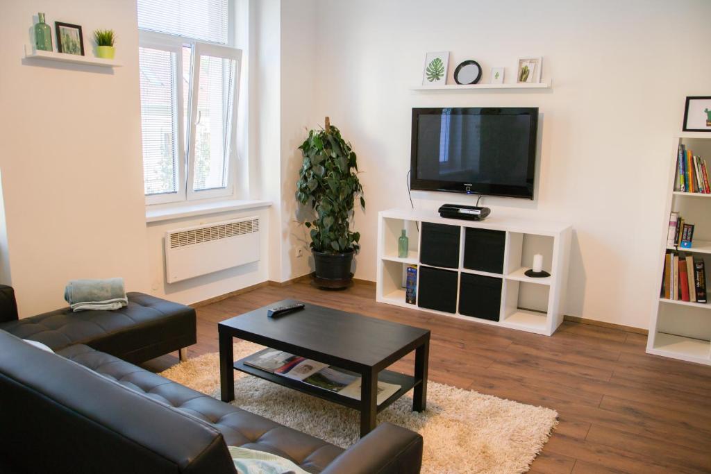 TV a/nebo společenská místnost v ubytování Sunny Aircon Apartment in the Centre of Slaný