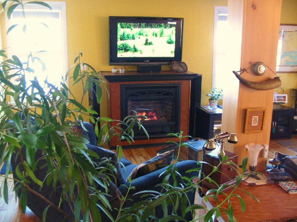 TV a/nebo společenská místnost v ubytování Gîte La Richardière