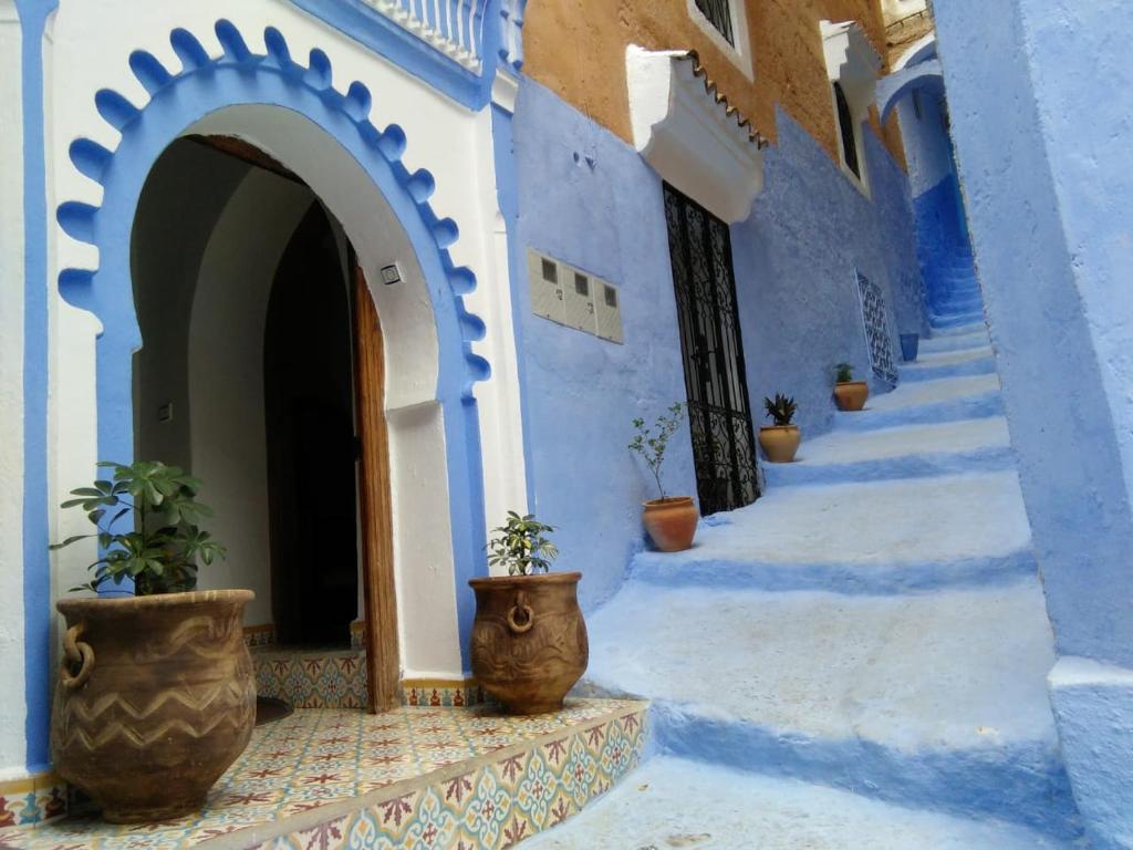 a hallway of a blue building with potted plants at dar solaiman in Chefchaouene