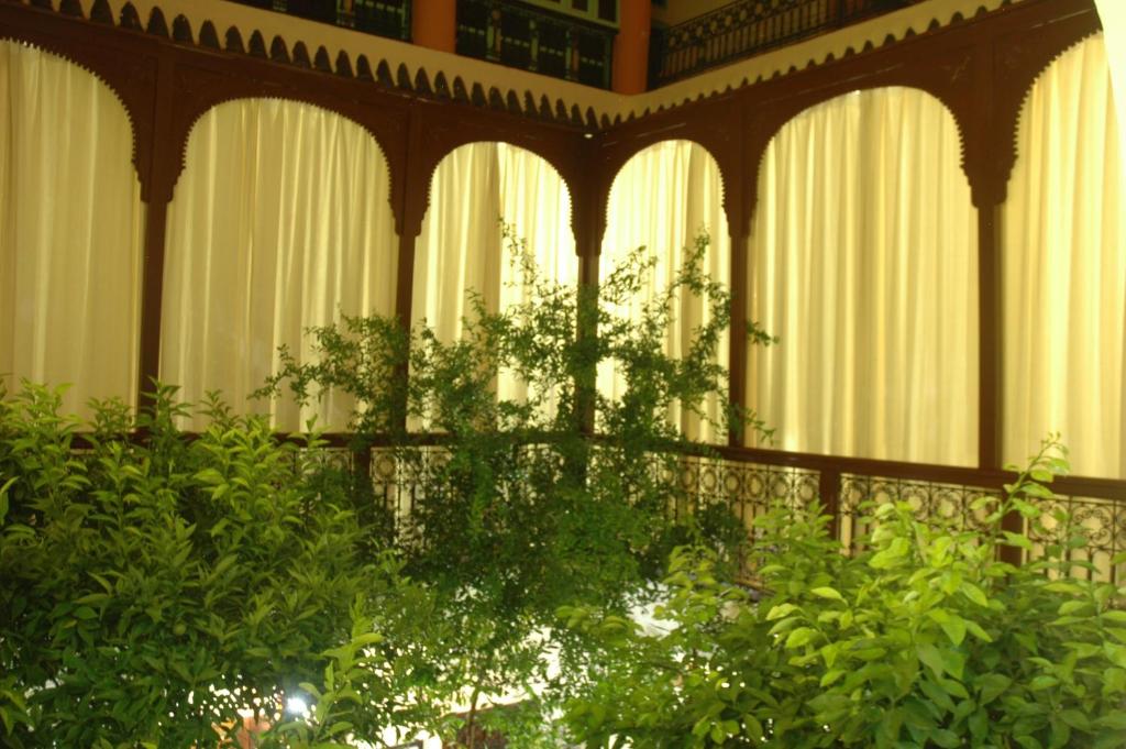 Zahrada ubytování Riad Blue Berber