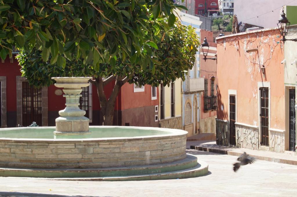Fotografie z fotogalerie ubytování Casa de Pita v destinaci Guanajuato
