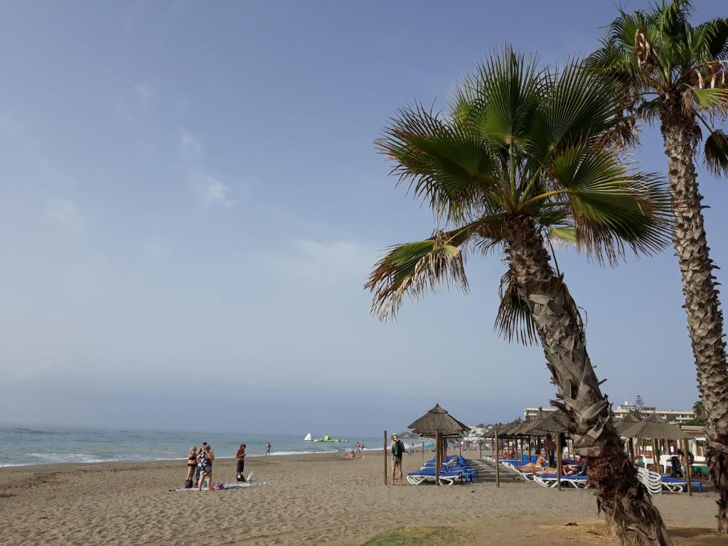 ラ・カラ・デ・ミハスにあるEl Tomillarの椰子の木が生える浜辺の集団