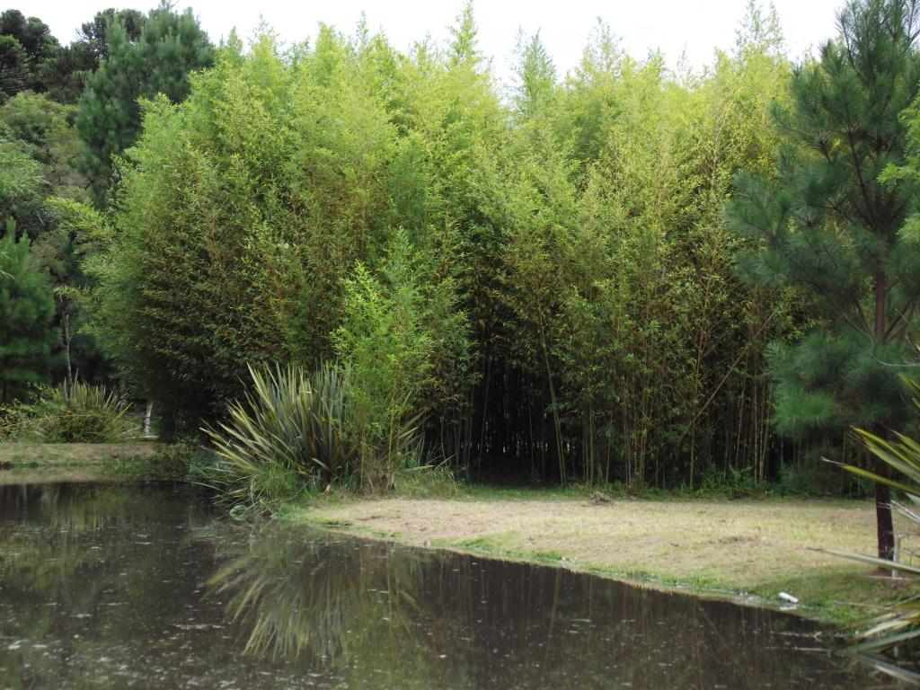 Recanto na Montanha de Gramado  Recanto na Montanha de Gramado