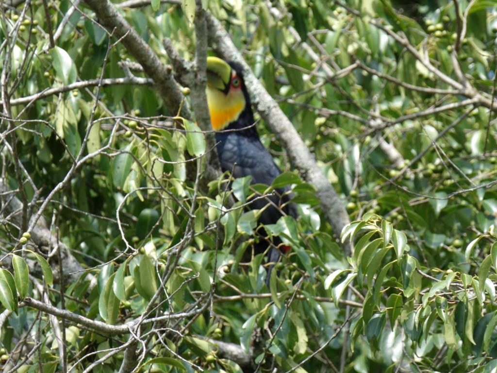 Recanto na Montanha de Gramado  Recanto na Montanha de Gramado