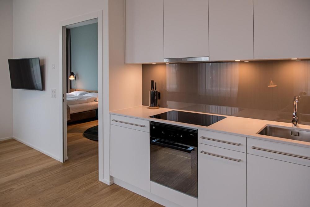 Kuchyň nebo kuchyňský kout v ubytování Aparthotel Luzern West
